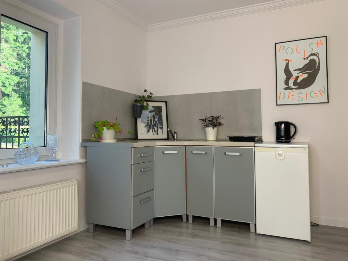 Apartament Lesny - Lesna 30 Kudowa-Zdrój Exterior foto